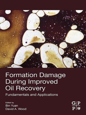 cover image of Formation Damage during Improved Oil Recovery